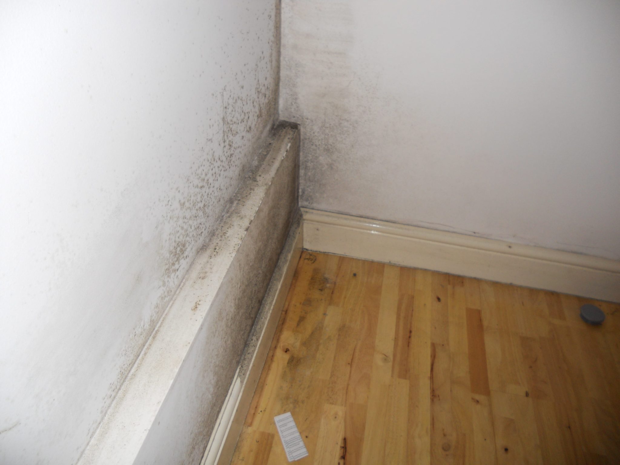 What Causes Damp Walls How To Repair Damp In House