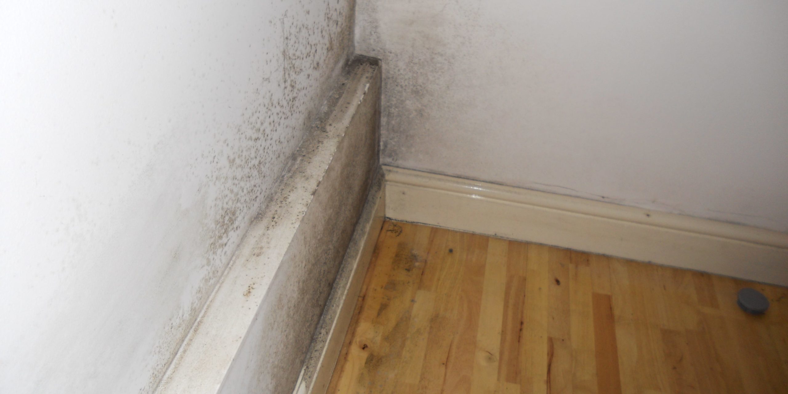 damp internal kitchen wall
